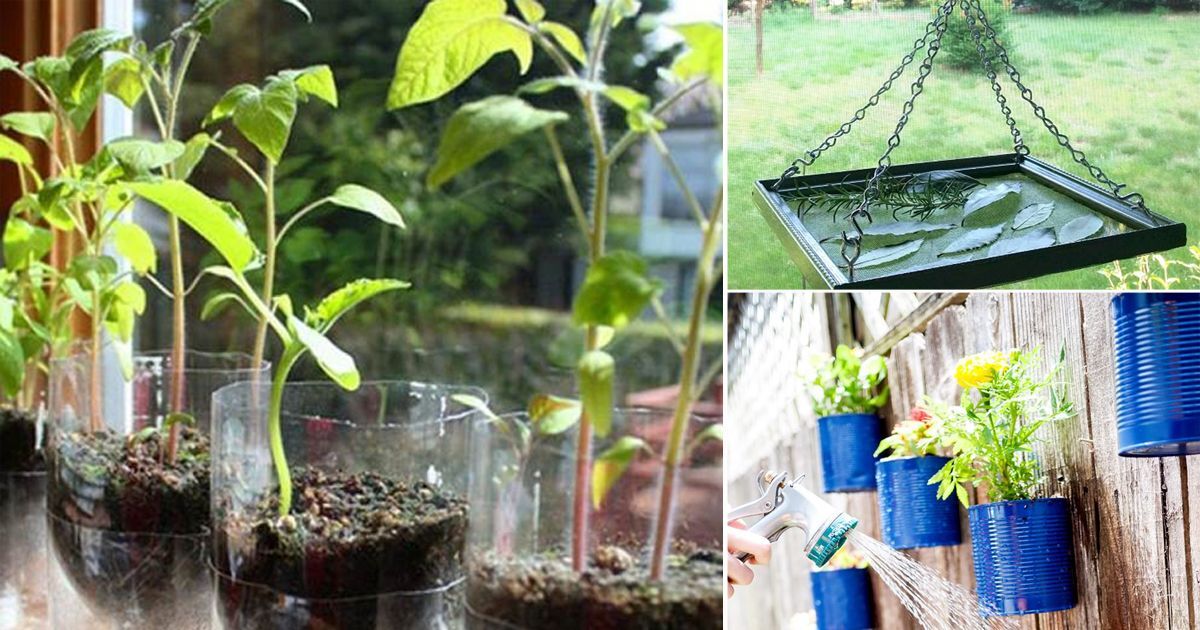 40 Upcycled Garden Ideas