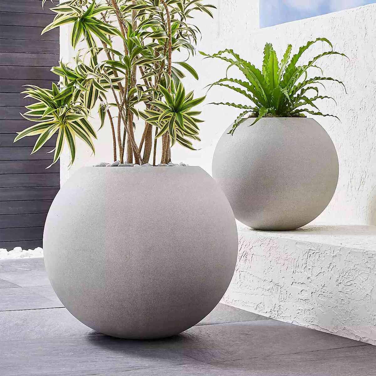 How to Pick the Right Pot for Your Houseplant - Indoor Plant Guides
