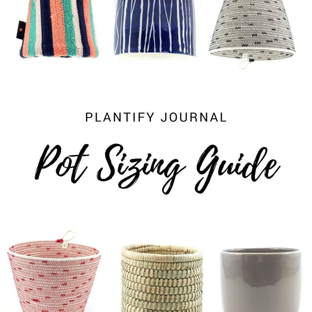 Not sure what size pot you need for your plant? Check out our handy Pot ...