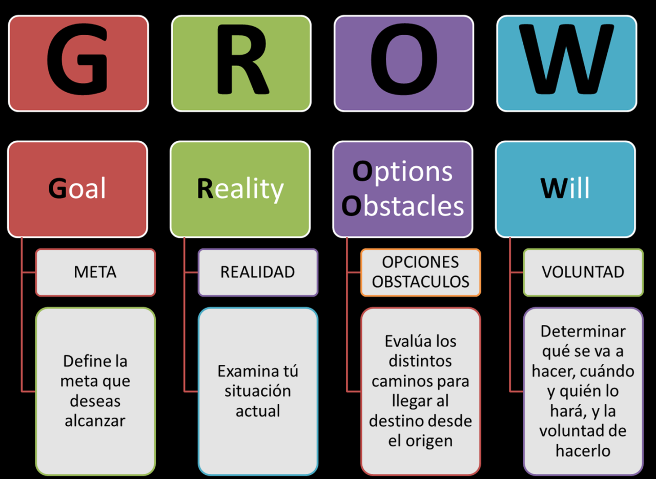Marketing, tecnología y vida: Modelo GROW