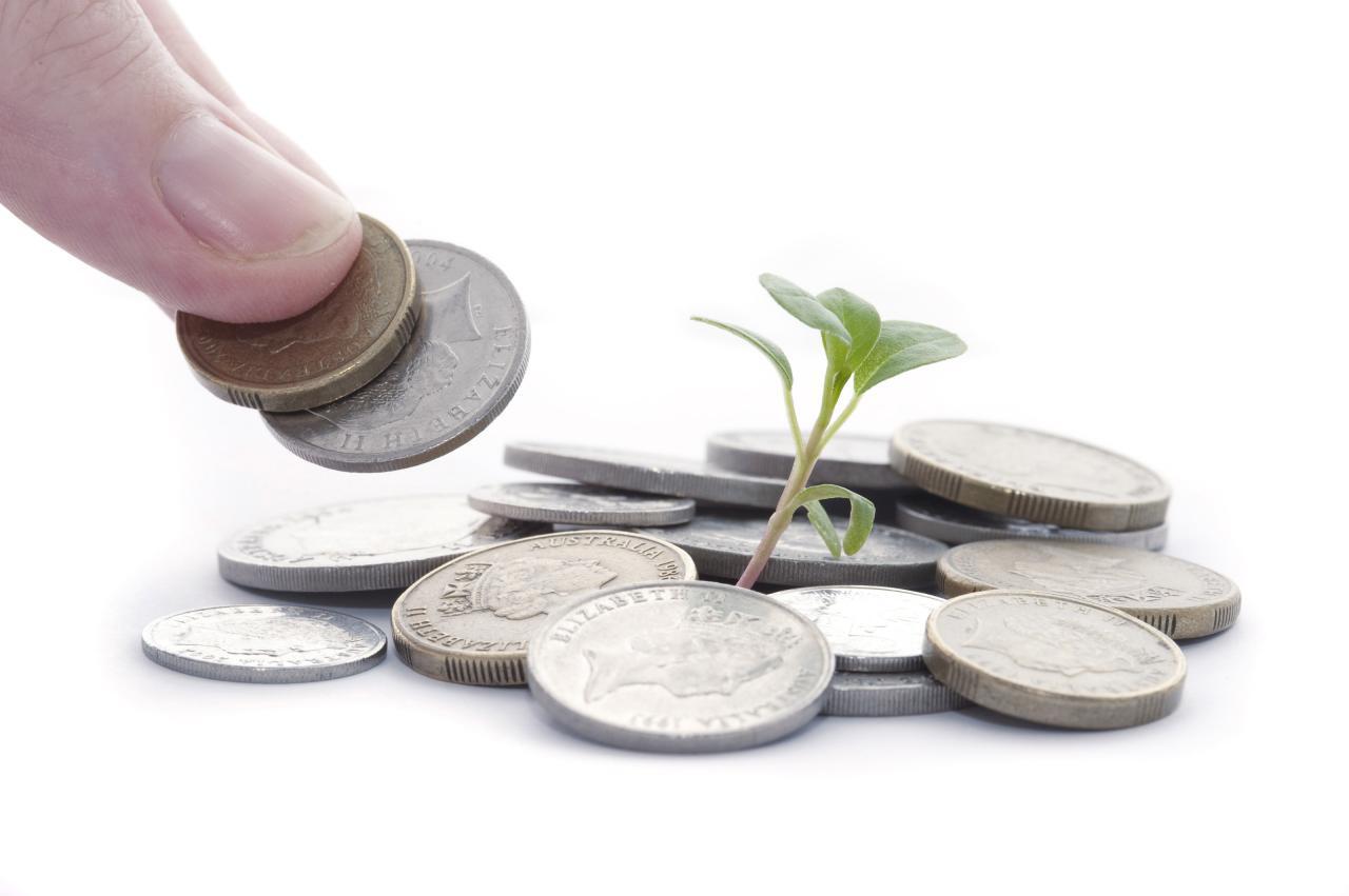 Free Images : tree, nature, grass, branch, plant, field, sunlight, leaf ...